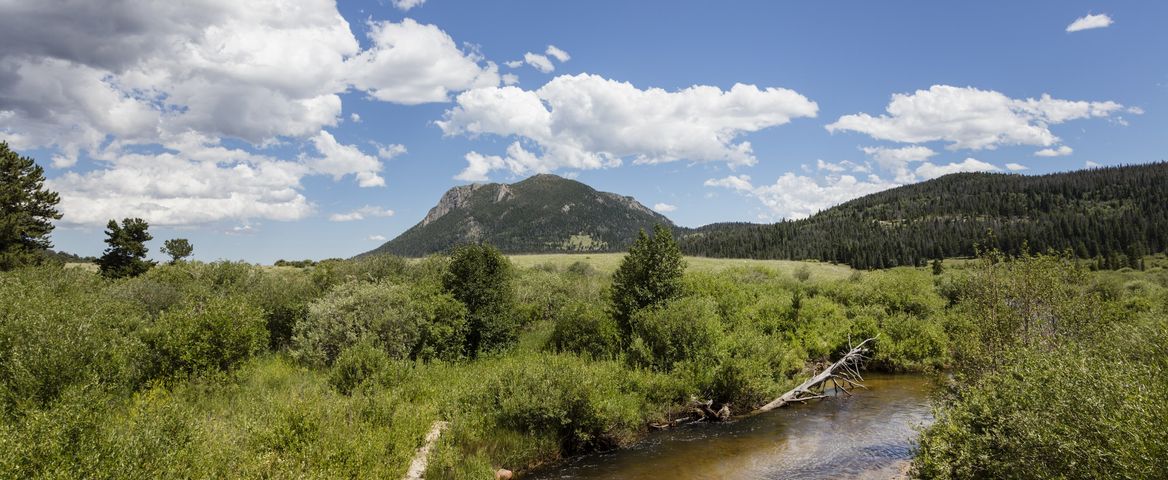 A meadow and stream in Rocky Mountain National Park